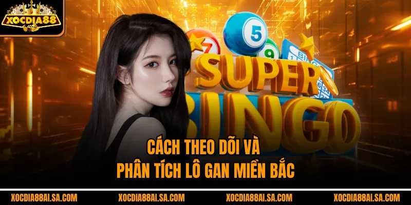 Cách theo dõi và phân tích lô gan miền bắc