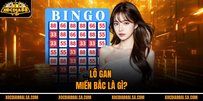 Lô gan miền bắc là gì?