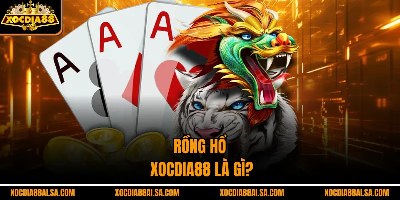 Rồng hổ xocdia88 là gì?